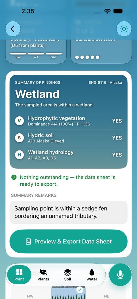 Summary of Findings card: Wetland, with hydrophytic vegetation, hydric soil and wetland hydrology all YES.